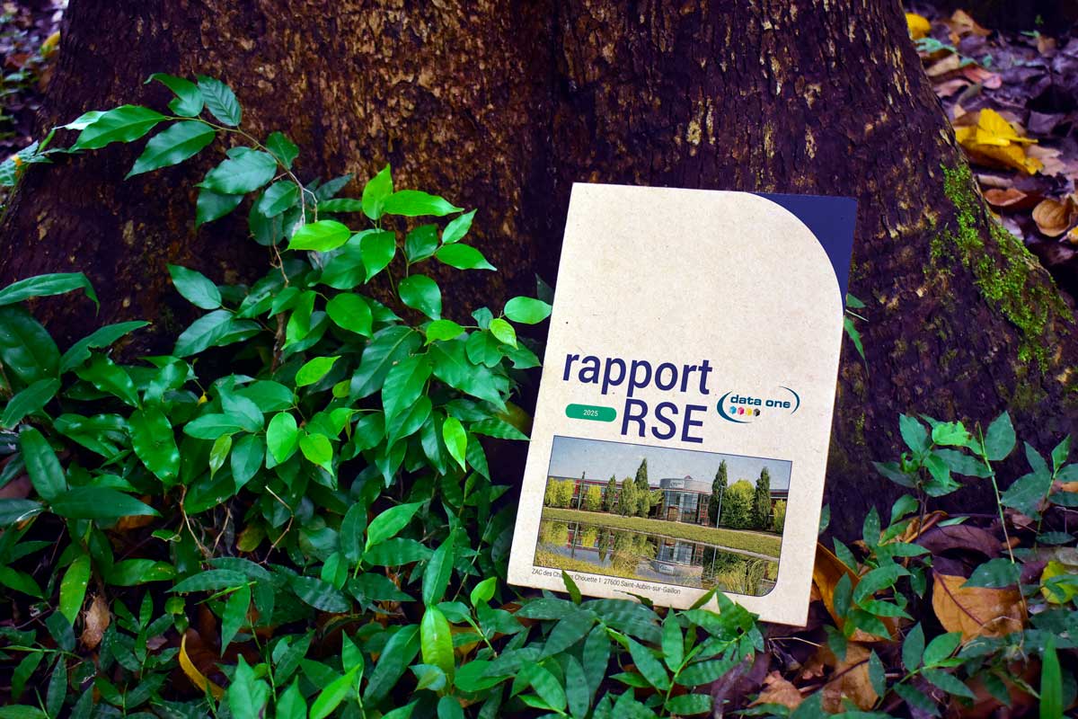Mise en situation du rapport RSE dans la nature